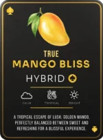 Ace Ultra Mango Bliss - 2Gram Gold Ace Cart - Image 2