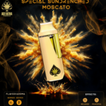 Ace Ultra Special Sundrenched Moscato