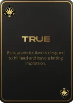 Ace Ultra Mango Bliss - 2Gram Gold Ace Cart - Image 3